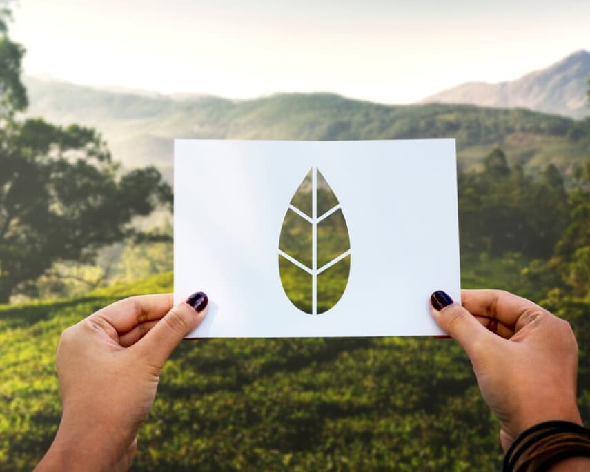 Hands holding a leaf cut-out against a lush landscape